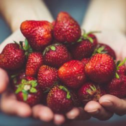 Hand mit Erdbeeren