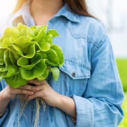 Frau hält einen Kopf Salat