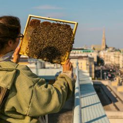 Wiener Bezirksimkerei