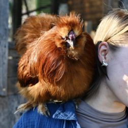 Frau mit Huhn