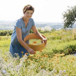 Junge Frau beim Ringelblumenpflücken