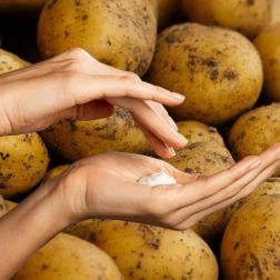 Erdäpfel Handcreme