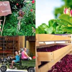 Lukashof Genussmanufaktur