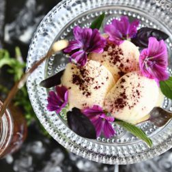 Basilikumeis, Aronia, Zwetschke, Malve