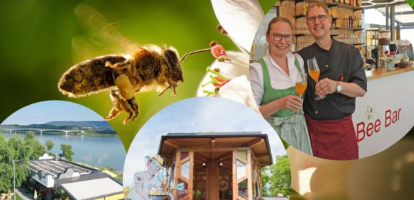 Bienen erleben, Honigvielfalt genießen