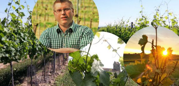 Geradlinig, ausdrucksstark mit Charakter