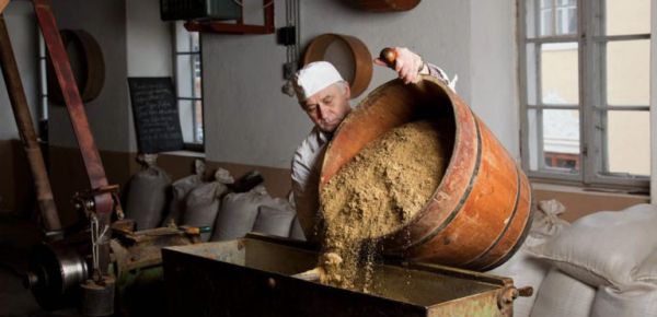 Leinöl heute wie damals