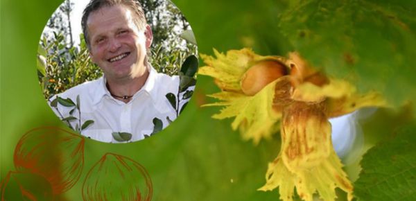 Der Zauber der Haselnuss