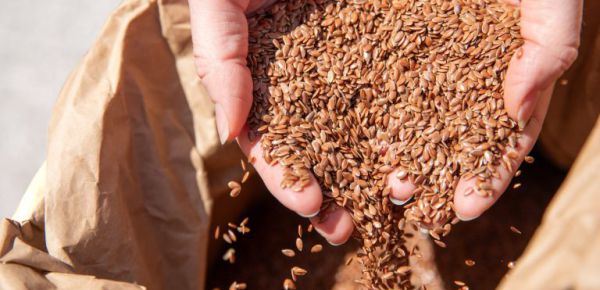 Kleine Samen, große Wirkung