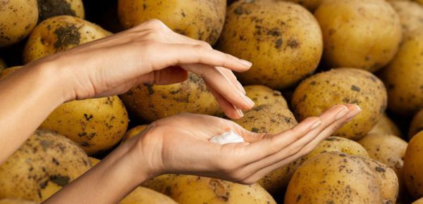 Erdäpfelcreme für die Haut