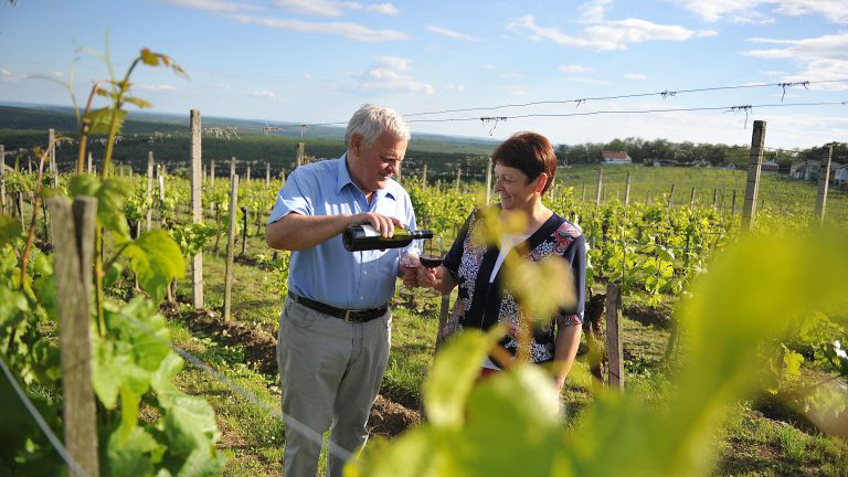 Franz und Gertrude Heiden, Weinbau Heiden, Weinidylle Südburgenland