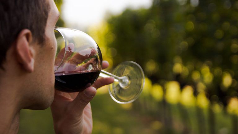Mann trinkt Rotwein im Weingarten