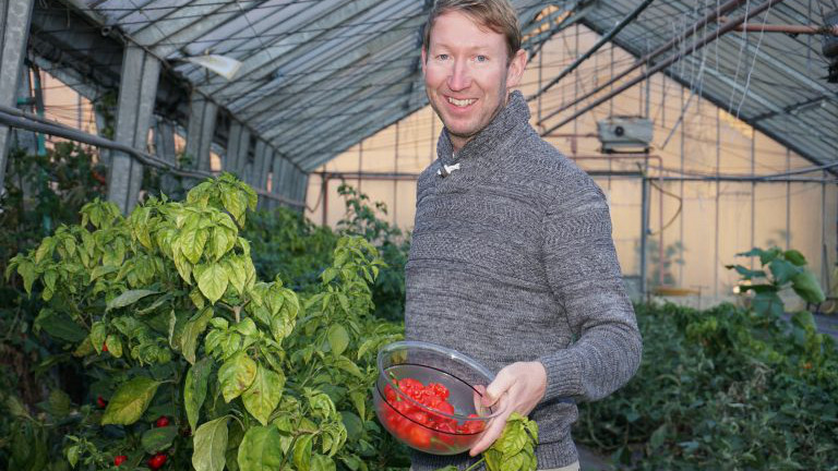 Thomas Schauer von Juliberg mit frisch geernteten Chilis