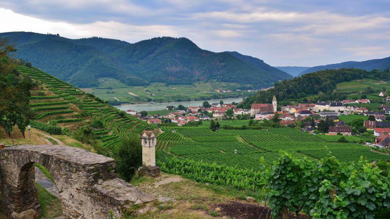 Wachau Wein