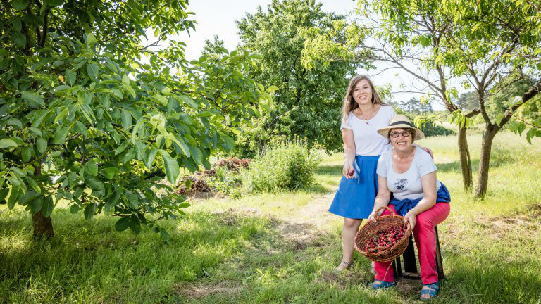 Andrea und Rosi Strohmayer mit eine Korb Kirschen zwischen Kirschbäumen