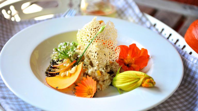 Risotto mit Käsehippe und Kürbisblüten