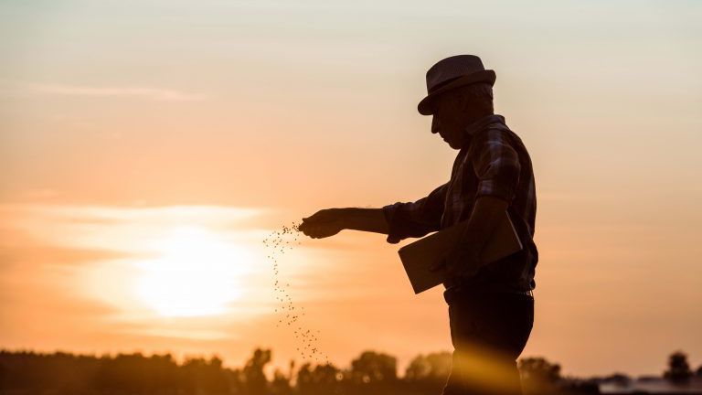 Profil eines älteren Bauern mit Strohhut, der bei Sonnenuntergang Samen aussät