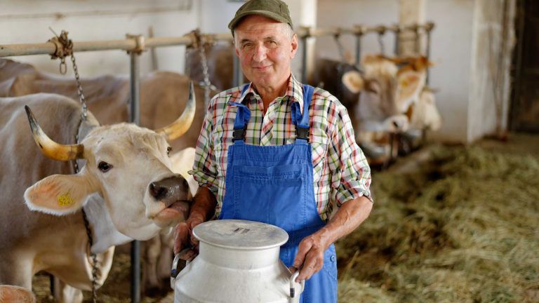 Landwirt mit Milchkühen