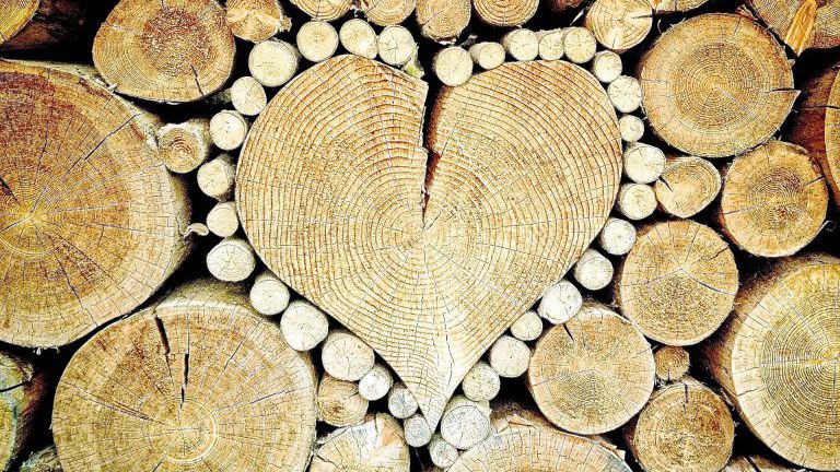 Herz aus Holz in Holzscheiten