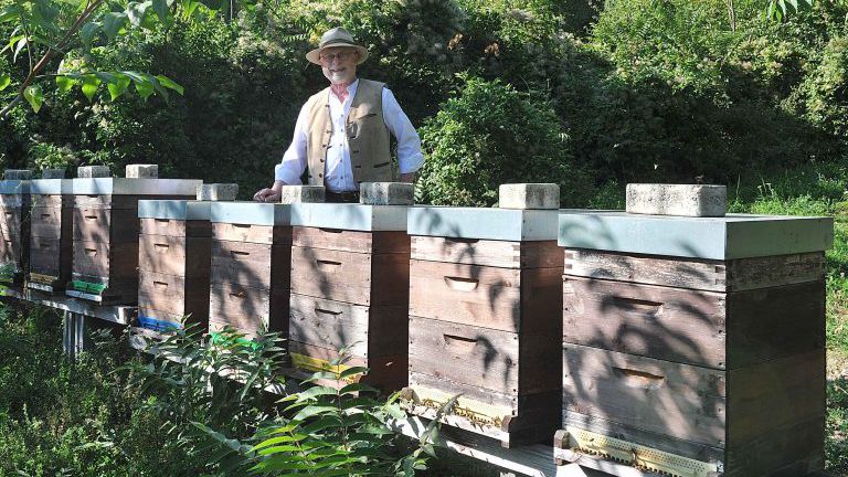 Imker vor den Bienenstöcken