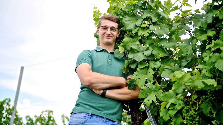 Junger Winzer im Weingarten