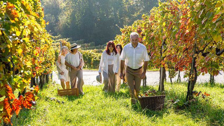 Eine schillernde Weinpersönlichkeit