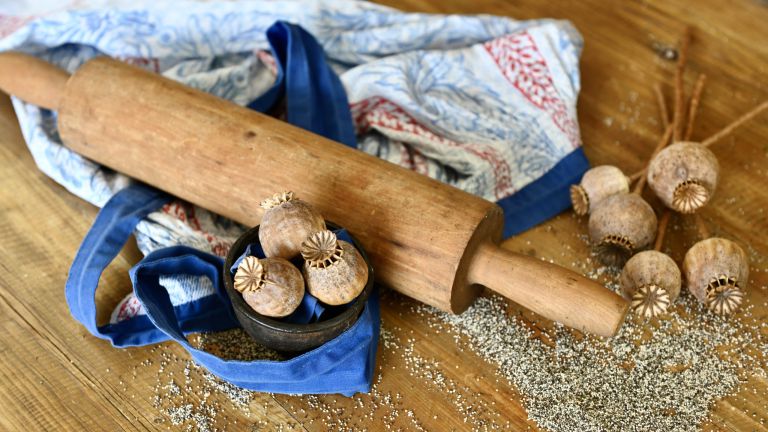 Im Zeichen des Mohns