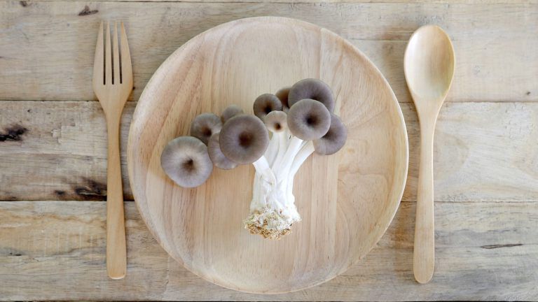 Pilze auf einem Teller