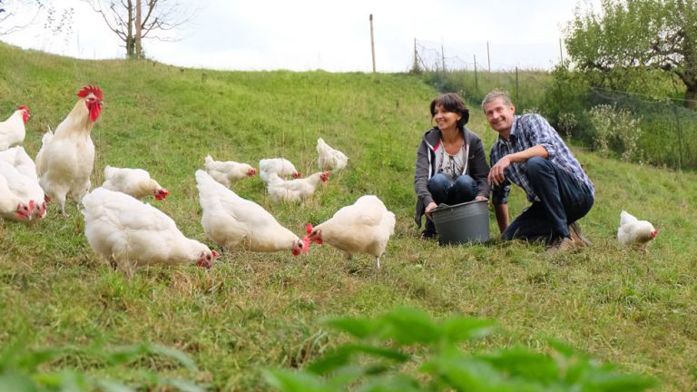 Huhn, oder nicht Huhn?