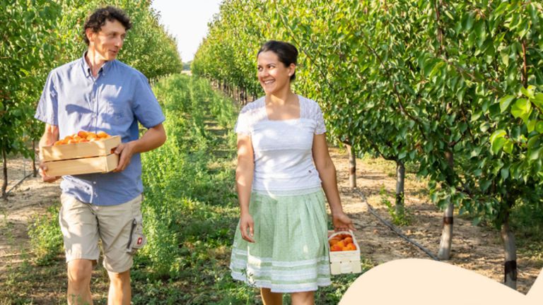 Was für ein Marillenglück