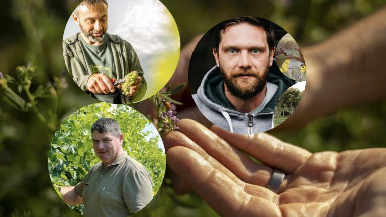 Biowinzer Kurt Feiler, Karl Zin und Markus Lager