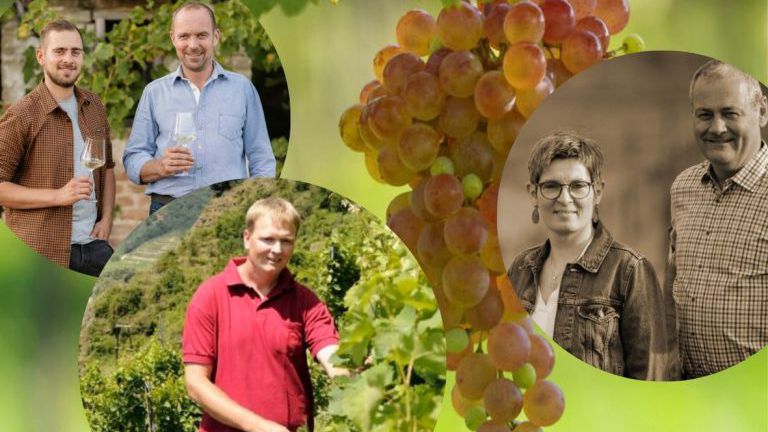 Heimischer Winzer und der Rote Veltliner
