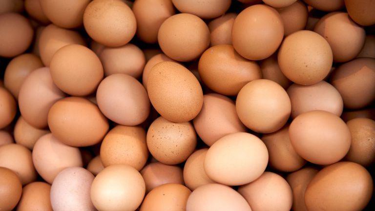 Eier