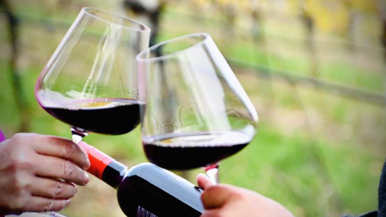 Rotwein aus Österreich