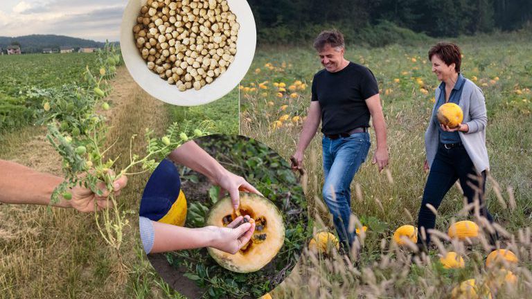 Kürbis und Kichererbsen