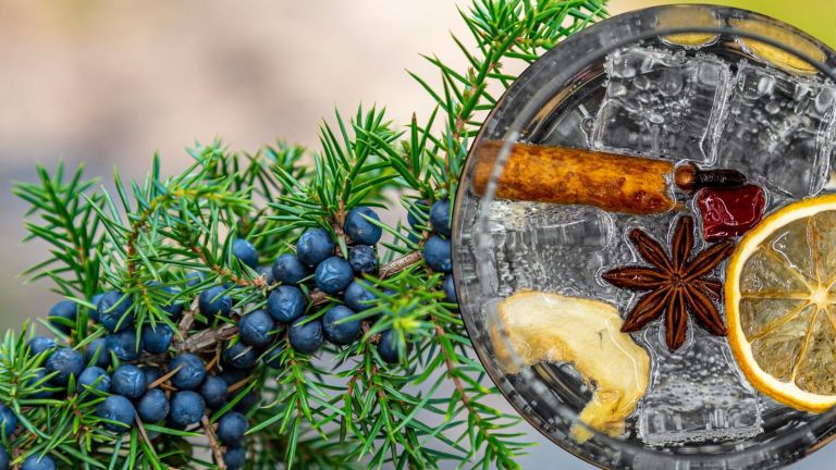 BeGINliche Weihnachten