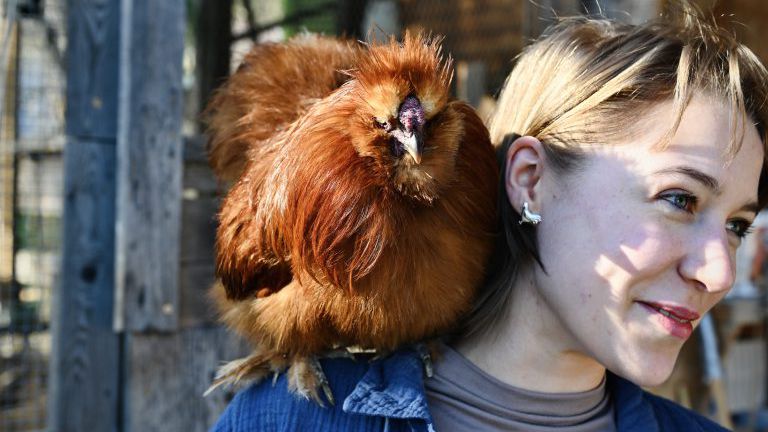Frau mit Huhn