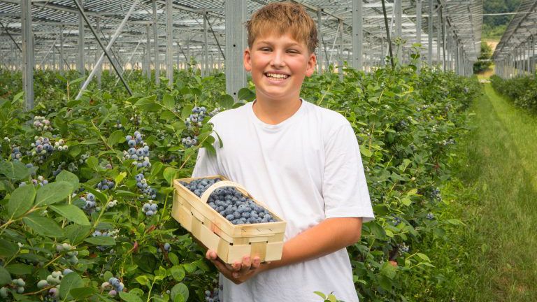 Bub mit selbstgepflückten Heidelbeeren bei Wurzers