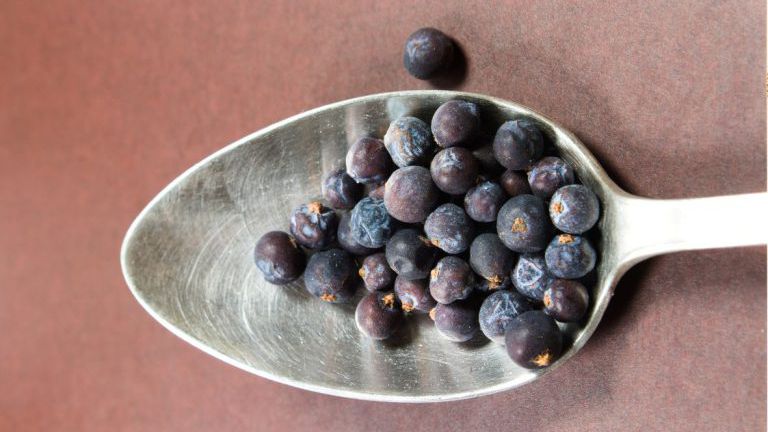 Wacholderbeeren auf einen Löffel