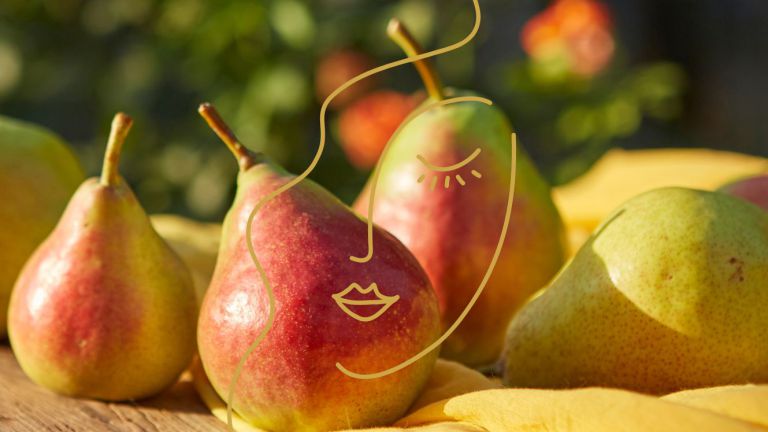 Birnensmoothie für die Haut
