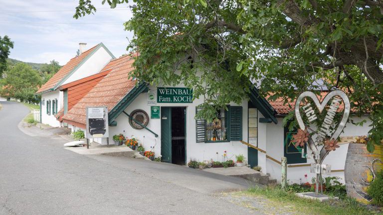 Weingut Koch