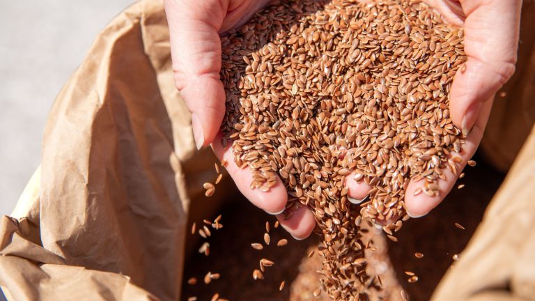 Kleine Samen, große Wirkung