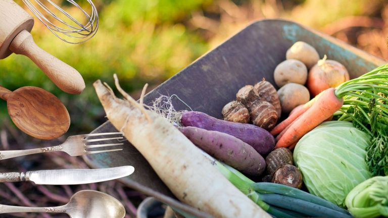 Wir machen eine Terrapie