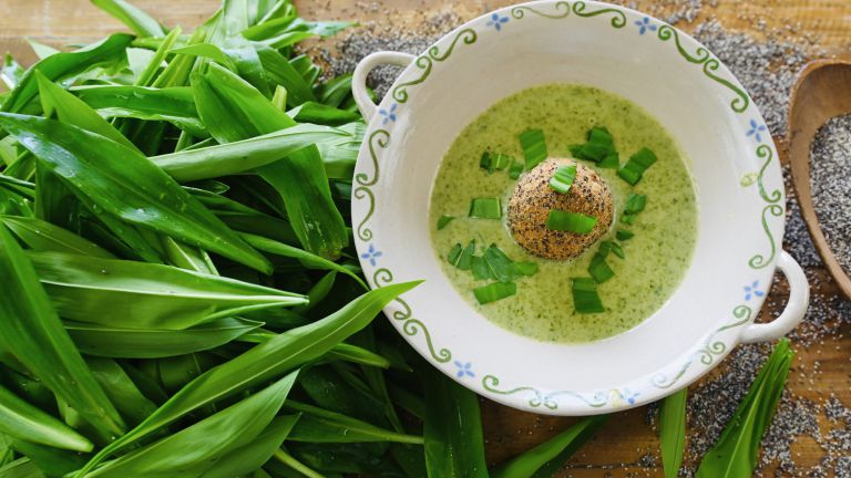 Bärlauchsuppe und Graumohn-Ei