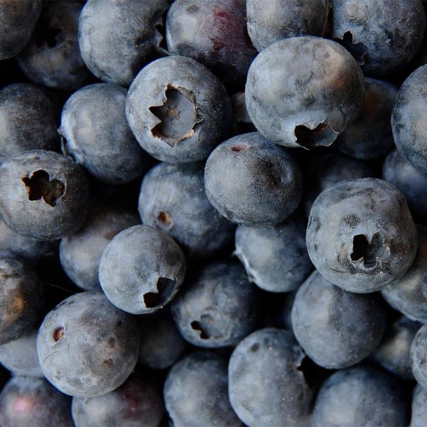Erdbeer- und/oder Heidelbeertraum - Bauernladen