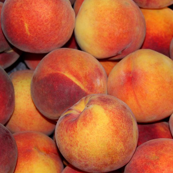Apfelino Pfirsich Kompott 180 g - Apfelino - Bauernladen