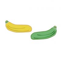 Zucchini