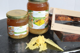 Bio Blütenhonig 500g