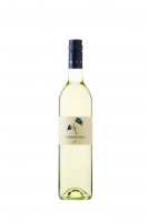 Cabernet blanc (PIWI) 2019