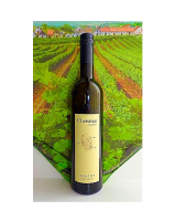 LEICHT und FRUCHTIG Grüner Veltliner leicht 2018